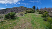 Asclier_24_03-71