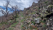 Asclier_24_03-74