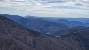 Asclier_24_03-77