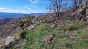 Asclier_24_03-79