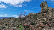 Asclier_24_03-82