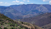 Asclier_24_03-84