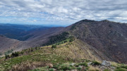 Asclier_24_03-86