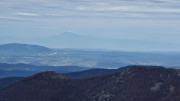 Asclier_24_03-88