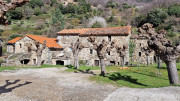 Asclier_24_03-9