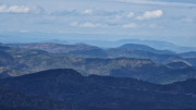 Asclier_24_03-90