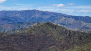 Asclier_24_03-92