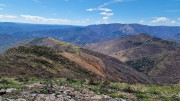 Asclier_24_03-93