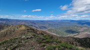 Asclier_24_03-95
