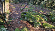 Rouveyrac_24-115