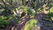 Rouveyrac_24-129