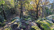 Rouveyrac_24-159