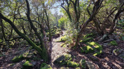 Rouveyrac_24-160