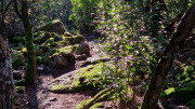 Rouveyrac_24-161