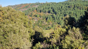 Rouveyrac_24-190
