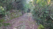 Rouveyrac_24-197