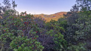 Rouveyrac_24-206