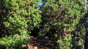 Rouveyrac_24-95