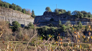 Thoiras_24_12-109