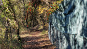 Thoiras_24_12-11