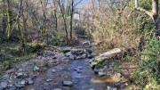 Thoiras_24_12-111