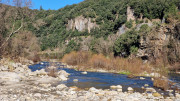 Thoiras_24_12-113