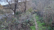 Thoiras_24_12-114
