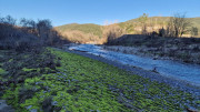 Thoiras_24_12-115