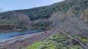 Thoiras_24_12-117