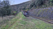 Thoiras_24_12-119