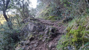 Thoiras_24_12-125