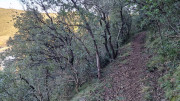 Thoiras_24_12-127