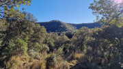 Thoiras_24_12-130