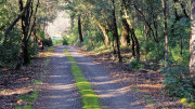 Thoiras_24_12-136