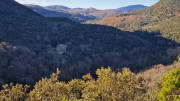 Thoiras_24_12-14