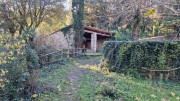 Thoiras_24_12-145
