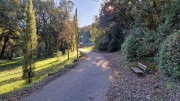 Thoiras_24_12-149