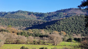 Thoiras_24_12-153