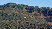 Thoiras_24_12-154