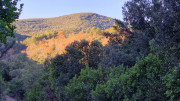 Thoiras_24_12-19