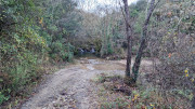 Thoiras_24_12-20