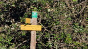 Thoiras_24_12-30