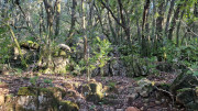 Thoiras_24_12-40