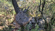 Thoiras_24_12-41