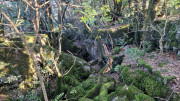 Thoiras_24_12-53