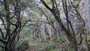 Thoiras_24_12-55