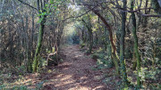 Thoiras_24_12-56