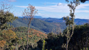 Thoiras_24_12-60