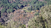 Thoiras_24_12-76