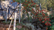 Thoiras_24_12-8